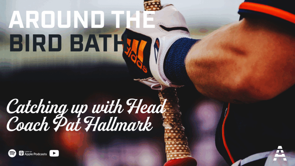 Around the Bird Bath Pat Hallmark interview 2025