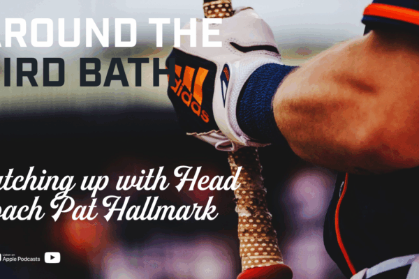 Around the Bird Bath Pat Hallmark interview 2025