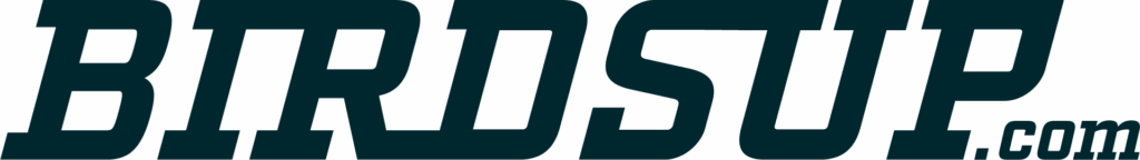 Birds Up Wordmark